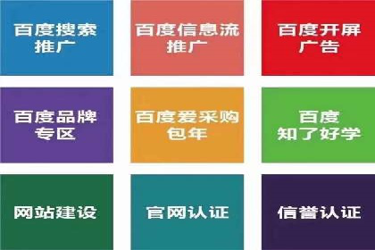 成功SEM投放案例分享